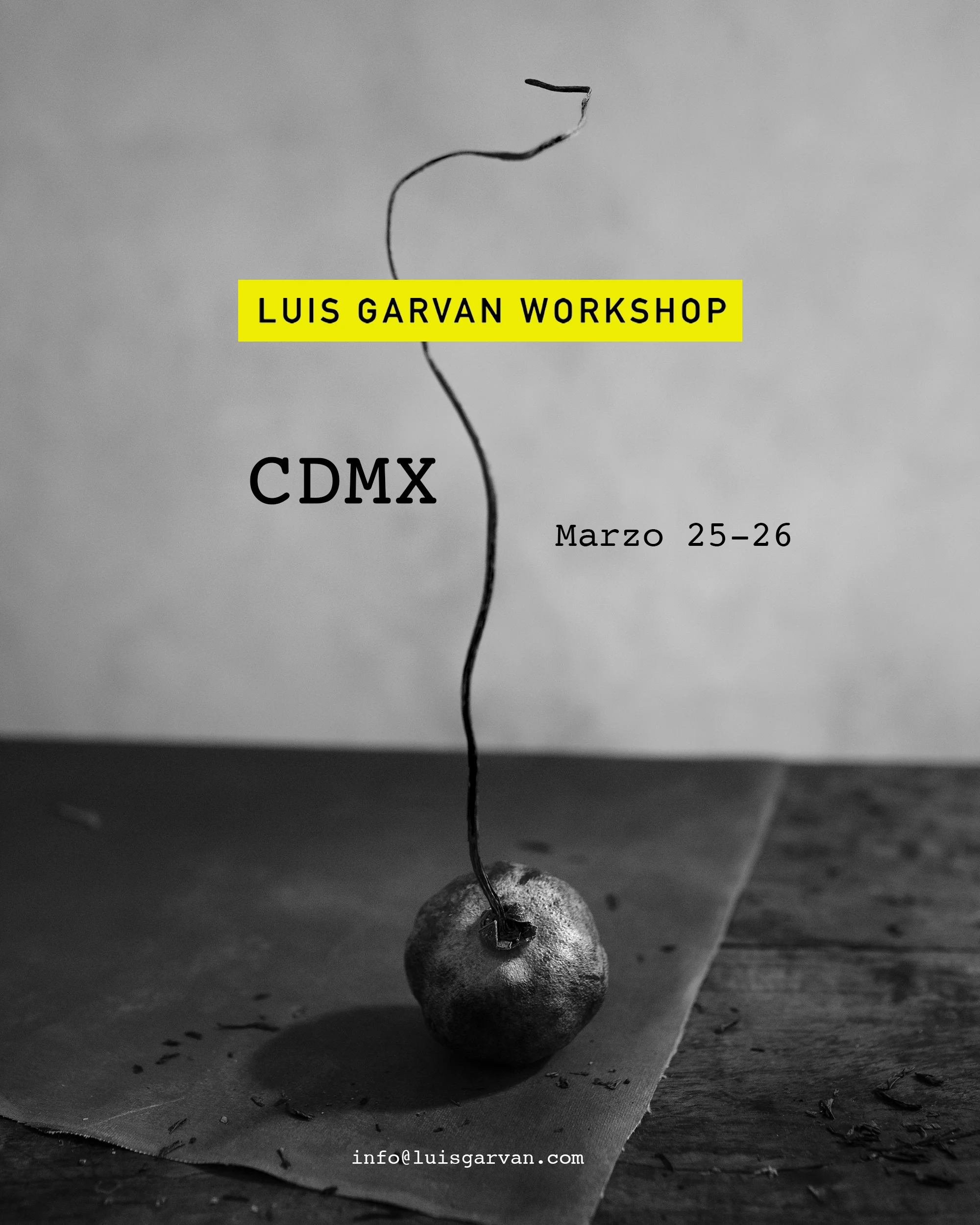 workshop.jpg