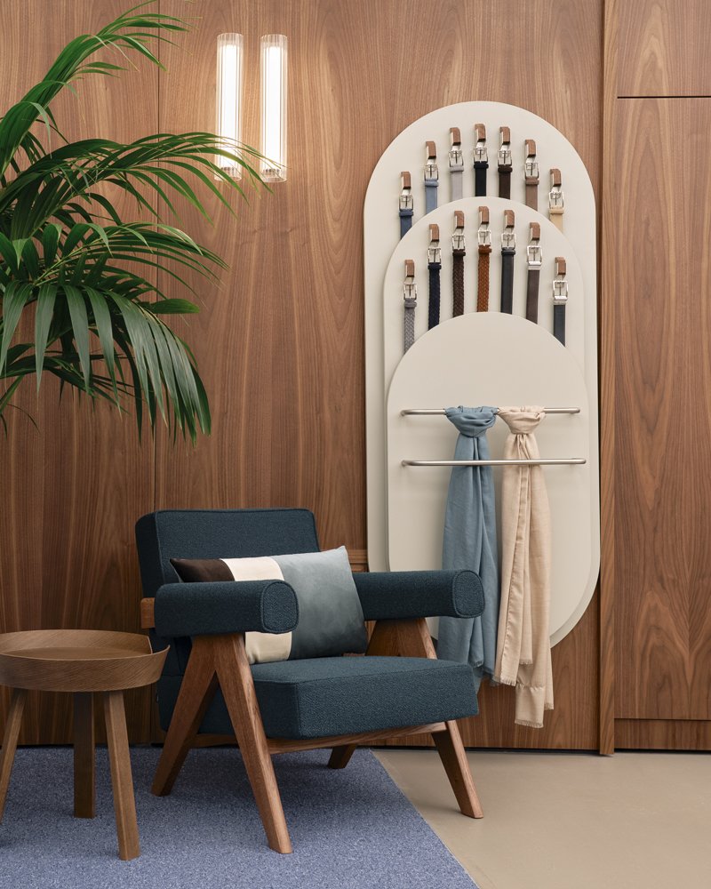 A modern room featuring a green leafy plant, a wooden side table, a blue armchair with cushions, and a white wall display holding belts and scarves against a wood-paneled wall.