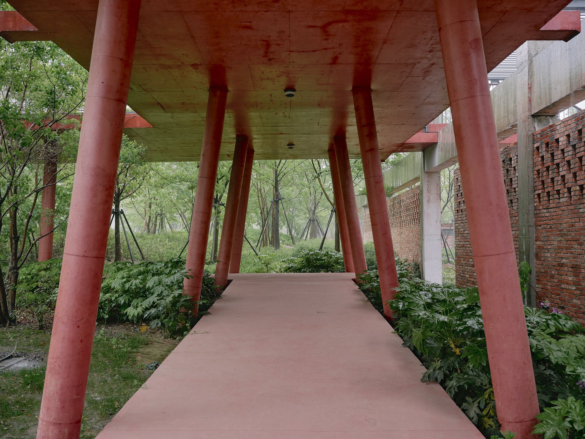 Apr 21 2025_DSCF5431.jpg