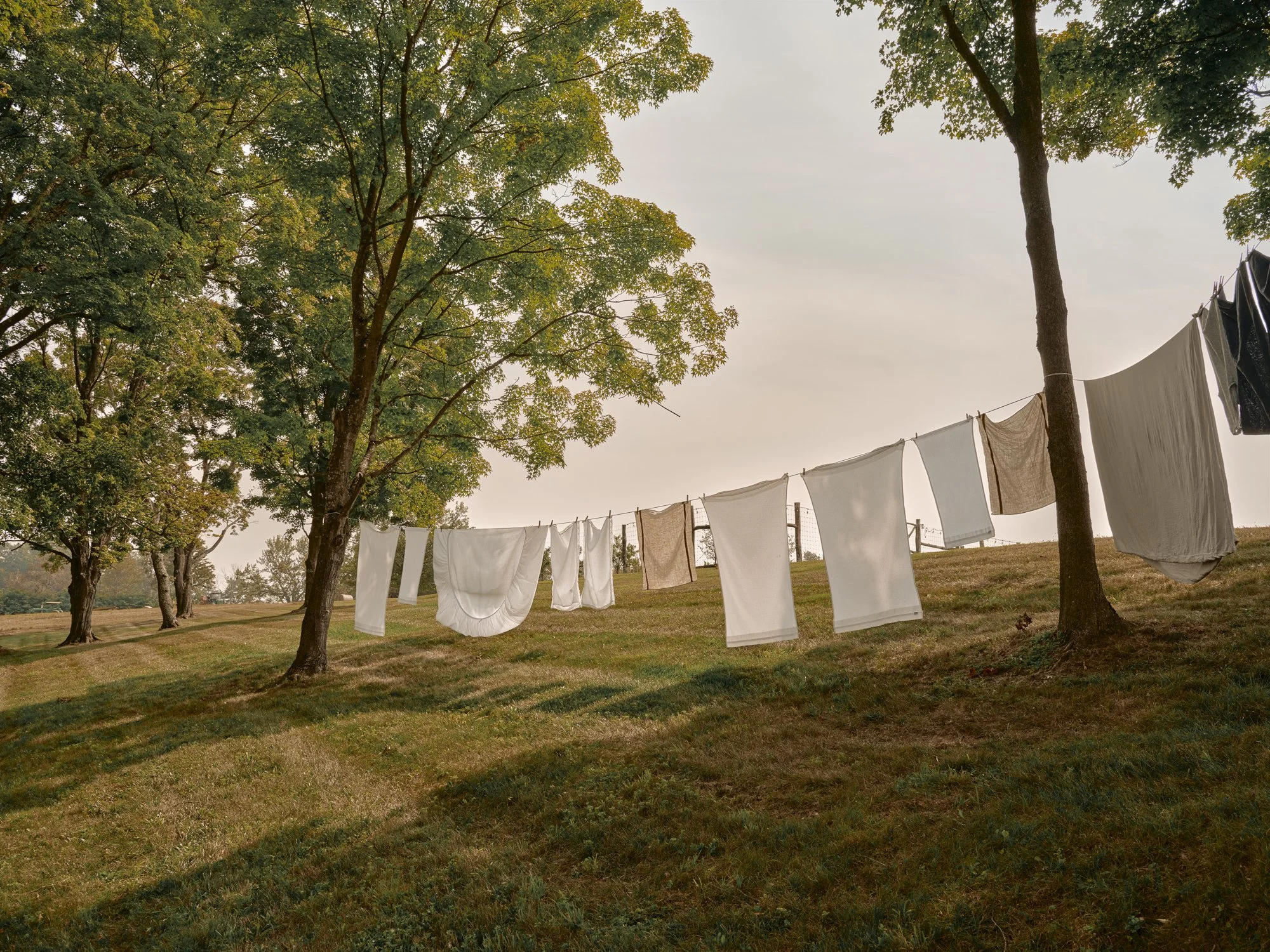 Jul 26 2025_Phillip Reed_19139.jpg