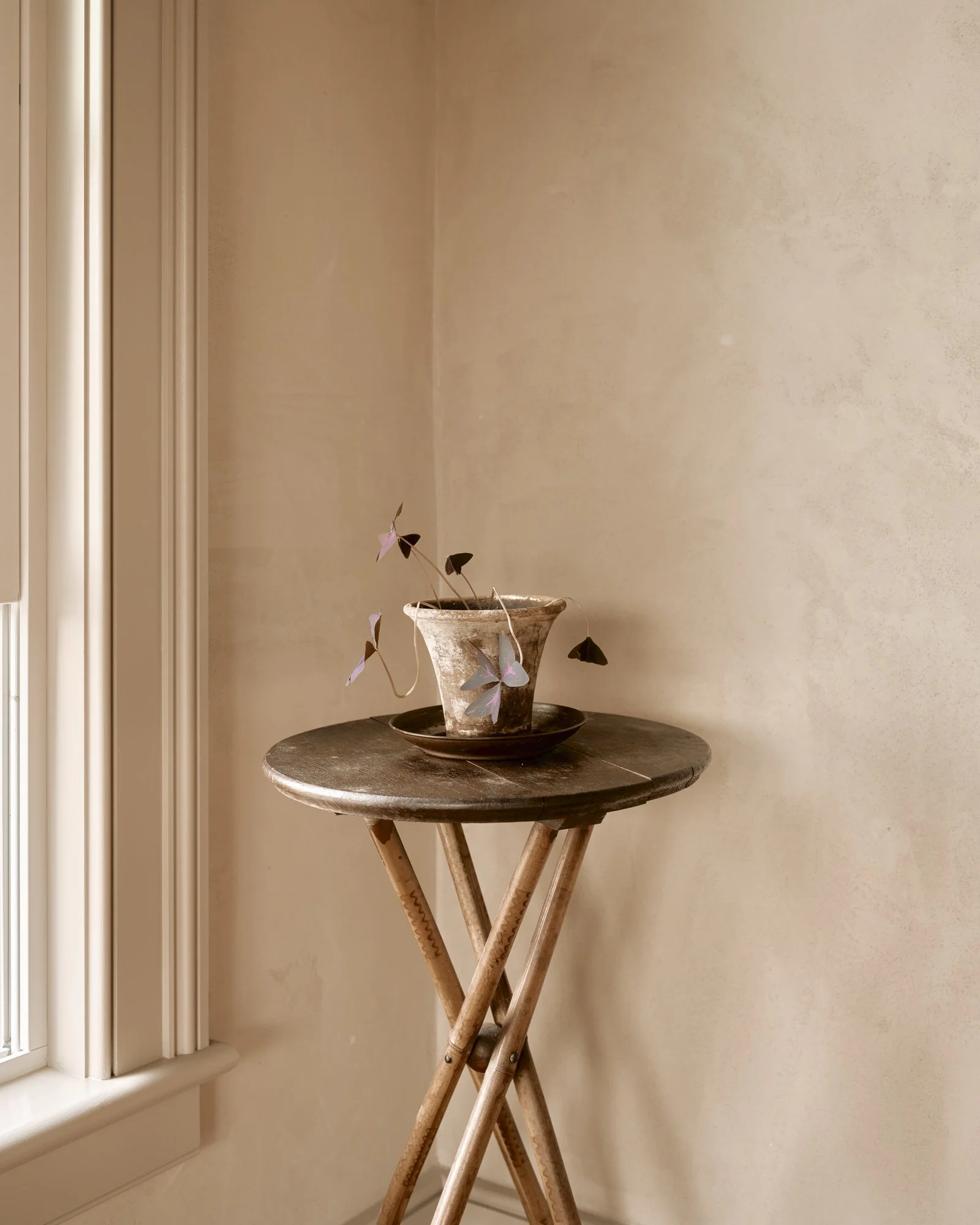 A small round wooden table with crossed legs, holding a ceramic potted plant with dark purple leaves near a window with beige walls.