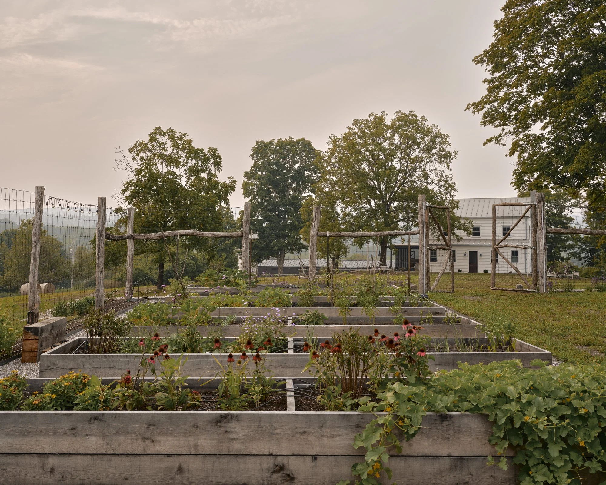 Jul 26 2025_Phillip Reed_19304.jpg