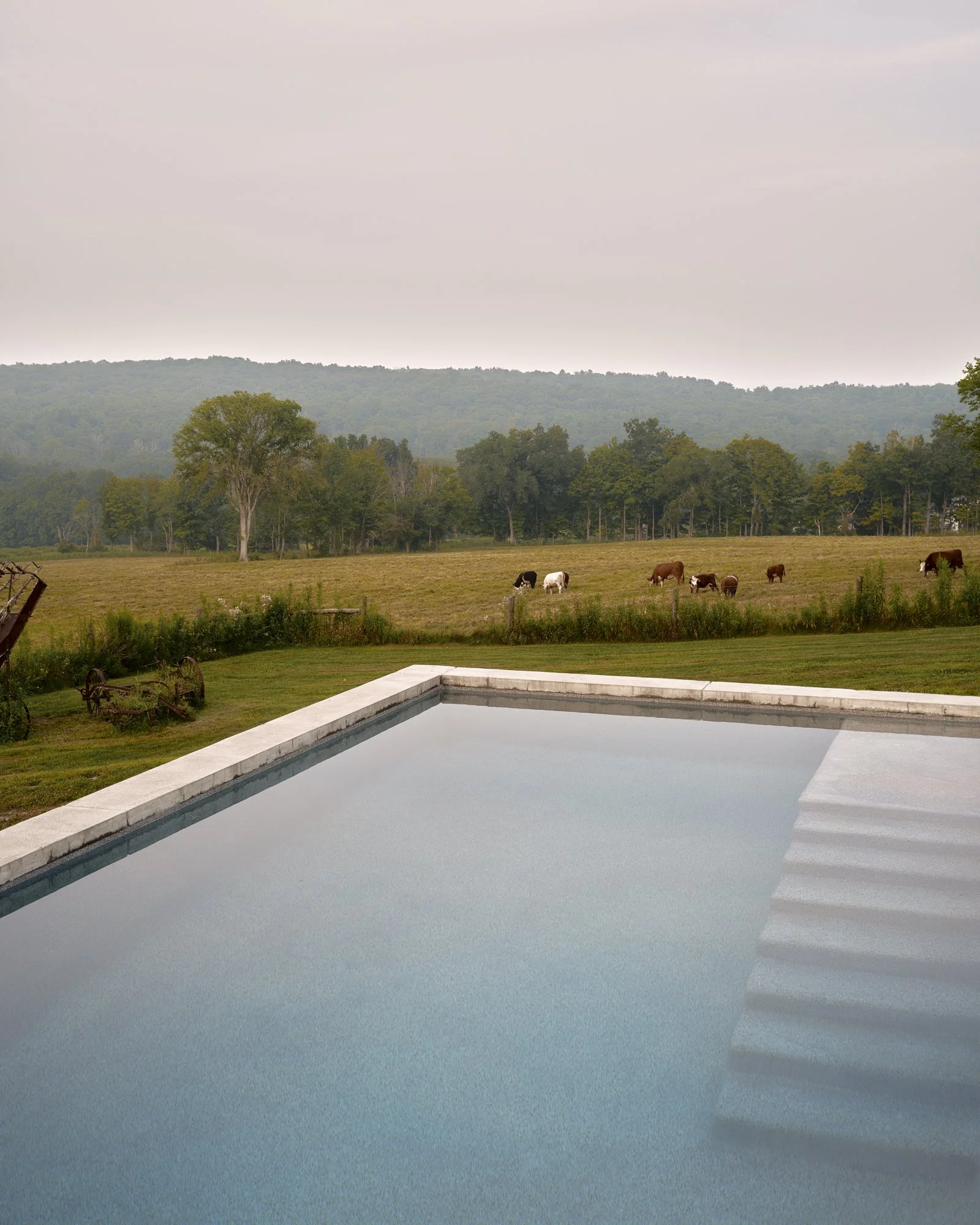 Jul 26 2025_Phillip Reed_19413.jpg