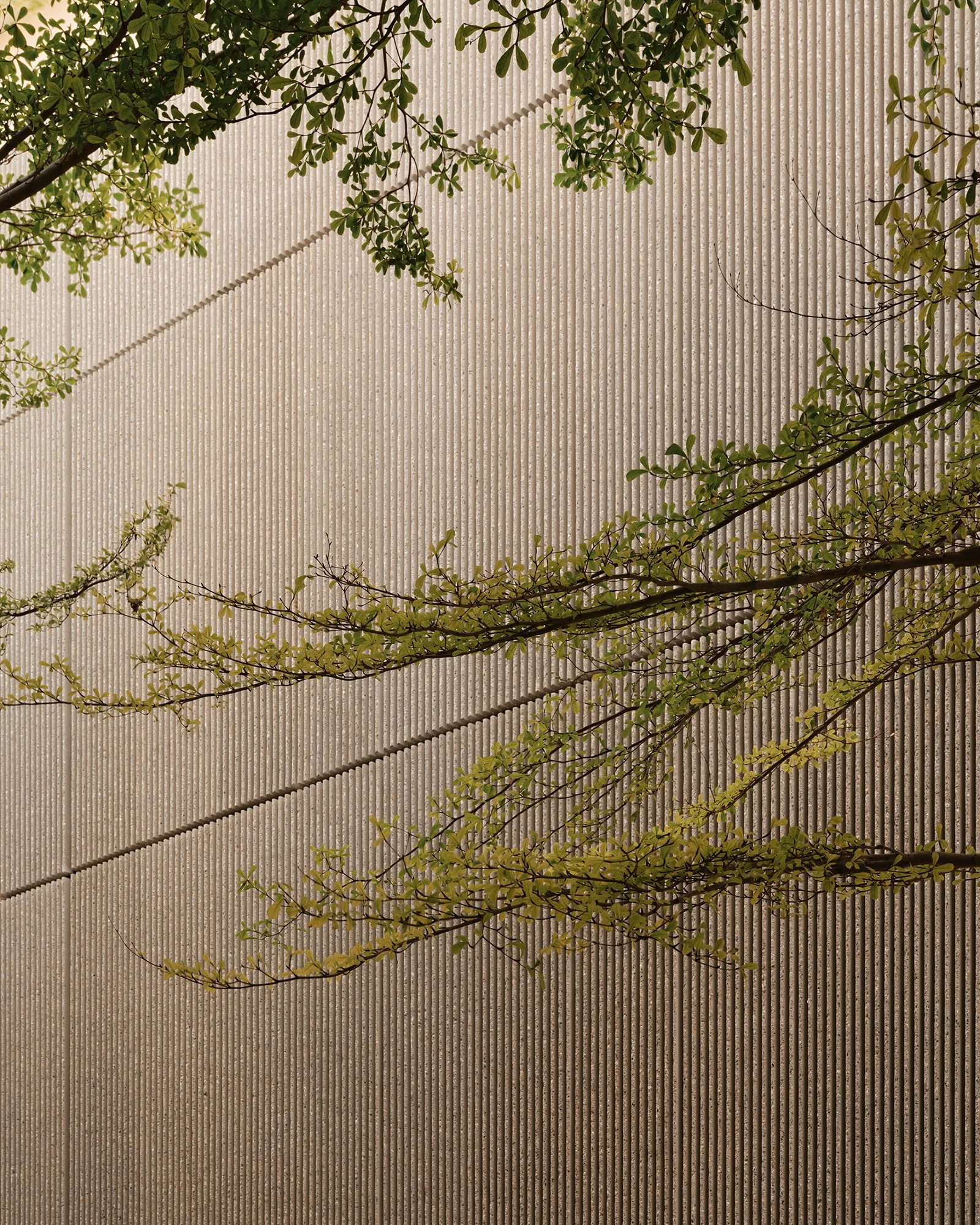 Dec 13 2024_Phillip Reed_YSL_Miami_0640 copy.jpg