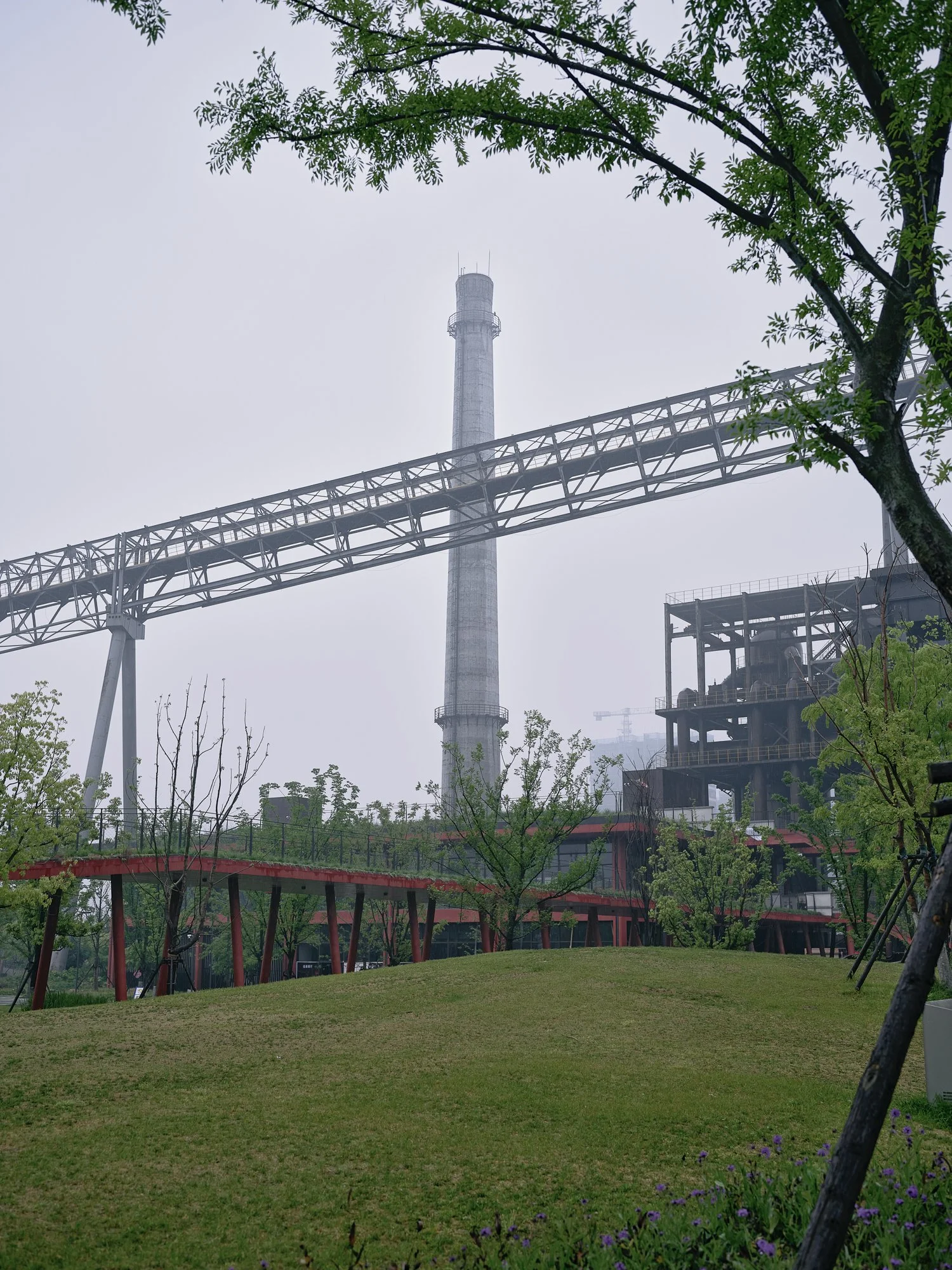 Apr 21 2025_DSCF5051.jpg