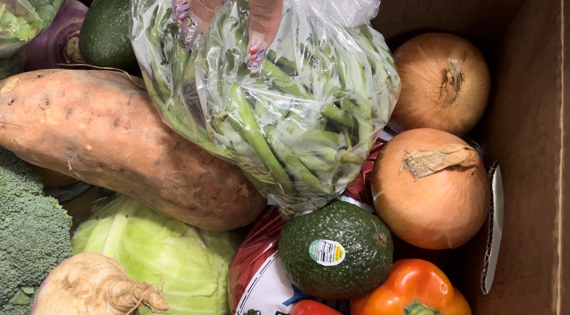 Spring Community Outreach Initiative 2024