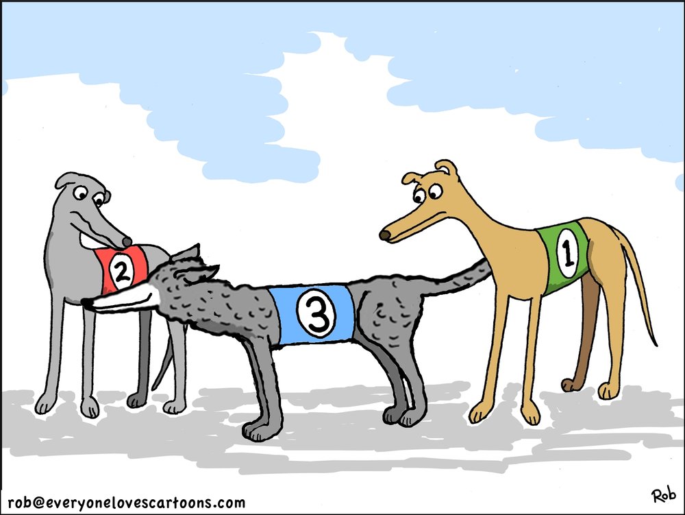 Lesser Known Dog Breeds - The Siberian Greyhound — 