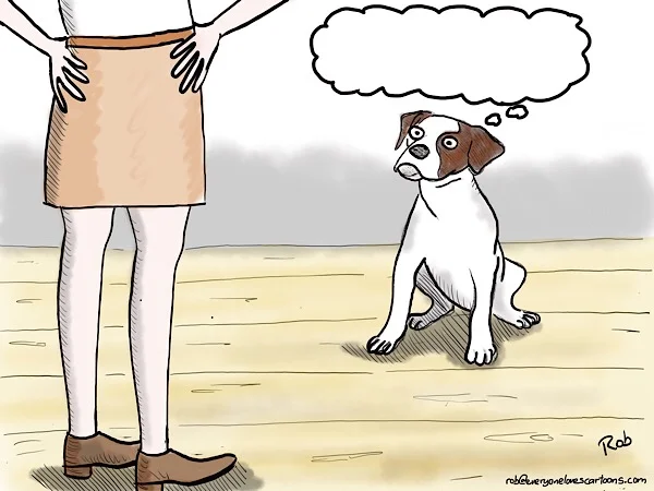 Caption the Cartoon