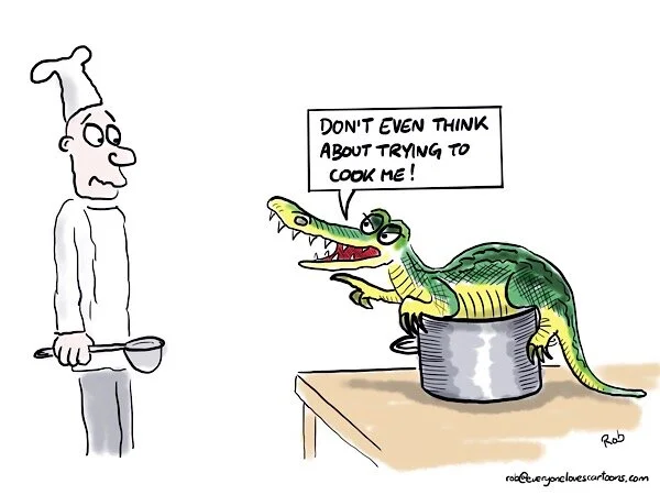 So much for the chef’s idea to simply tap the croc on the head an put it in the pot…