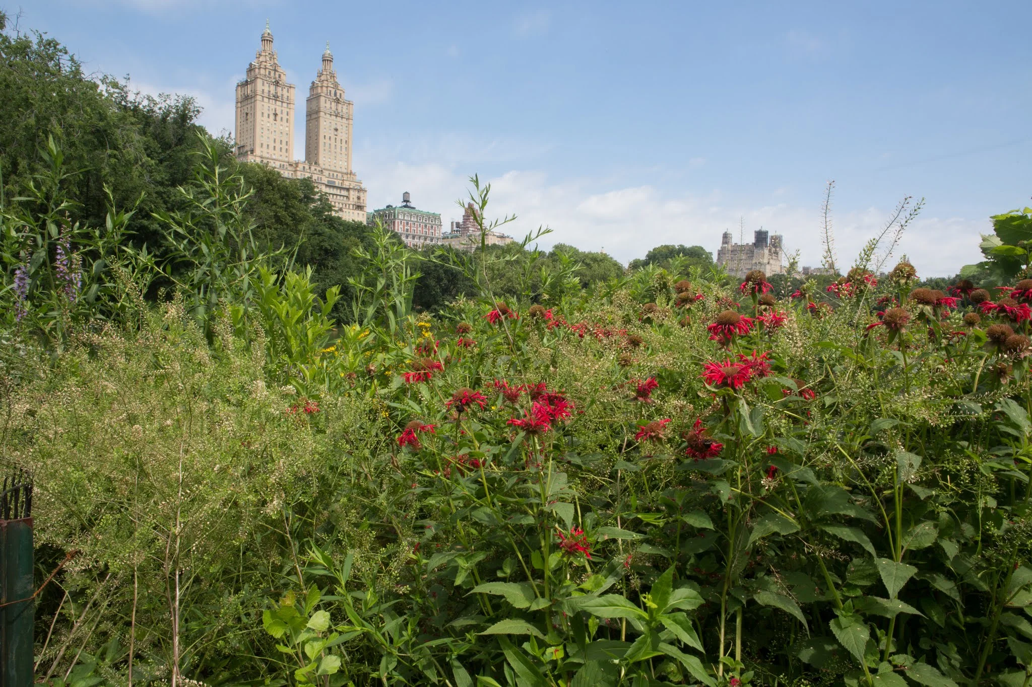 July - Julia and Joe-119-1.jpg