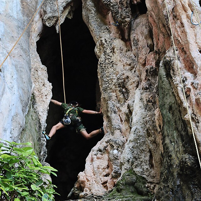 Who ever said climbing doorways as a kid was a waste of time was #totallywrong Bella showing us how it's done climbing this narrow cave.  #rockclimbing #railay #proudparent