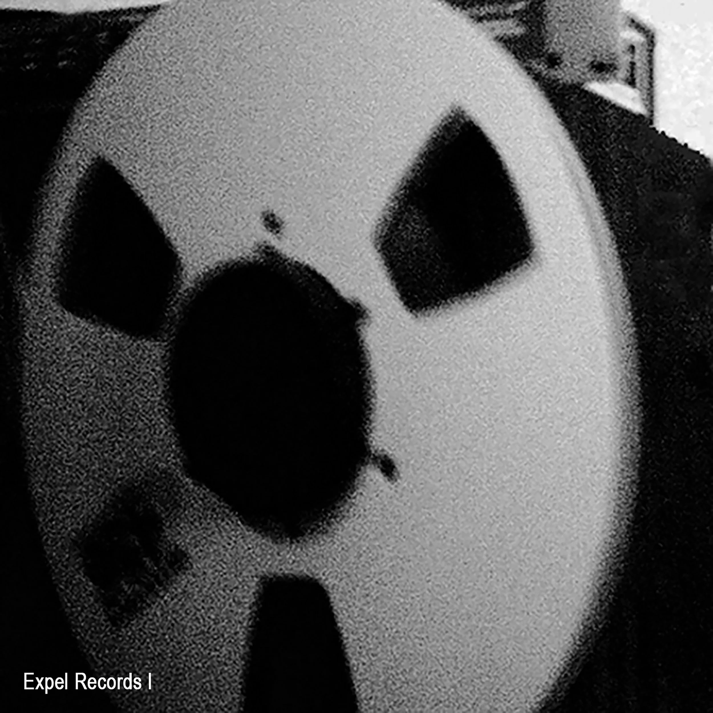 EXP007_Expel_Records_Sampler_I_the_Orchard.jpg