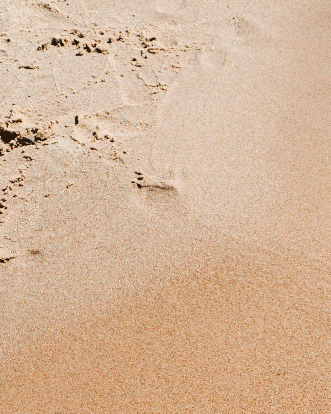1080x1350_Post_3.gif
