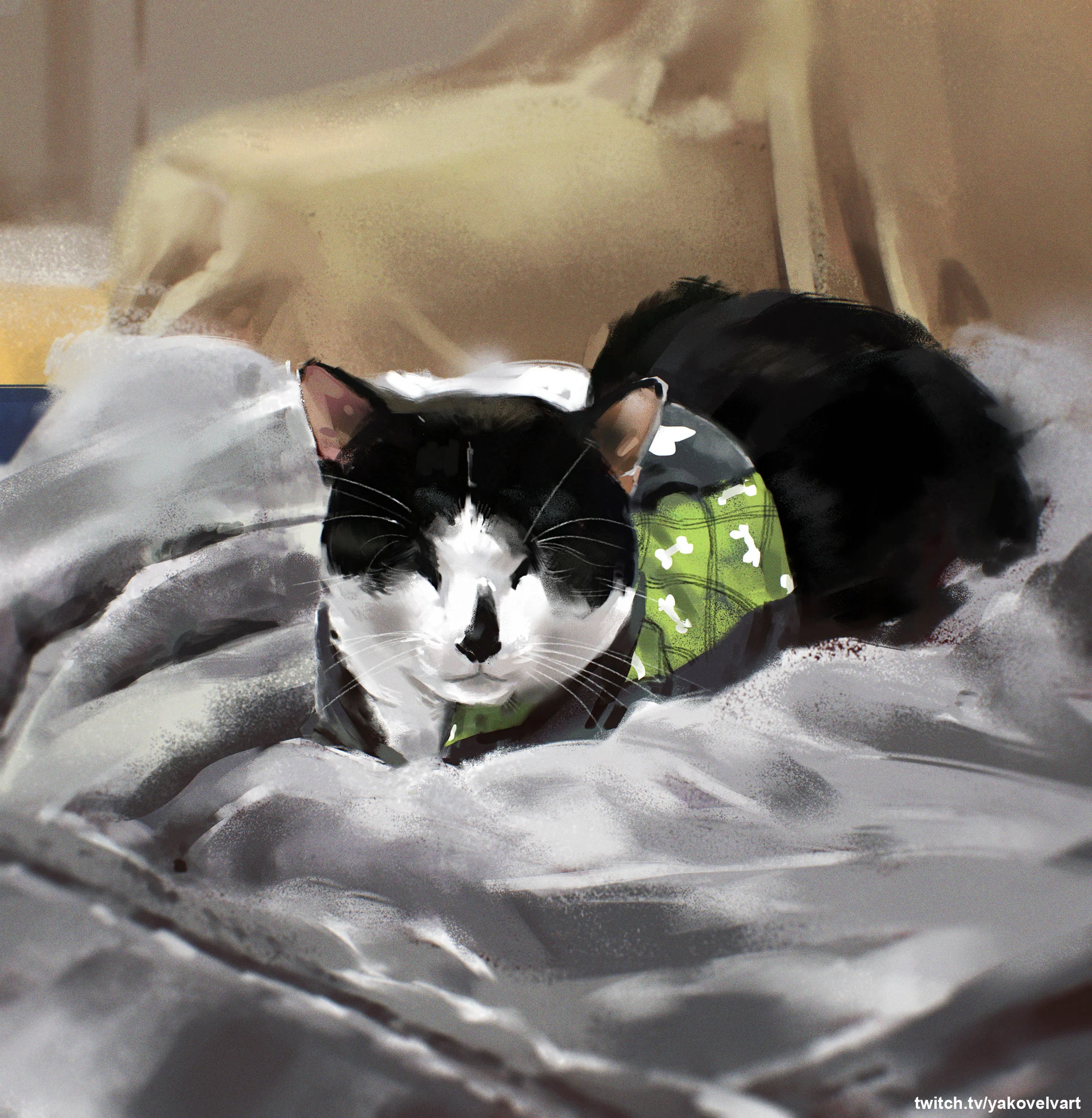 Cat Naps.jpg