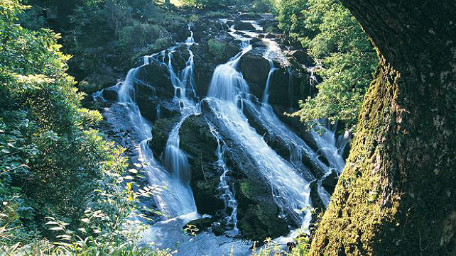 Swallow Falls within walking distance