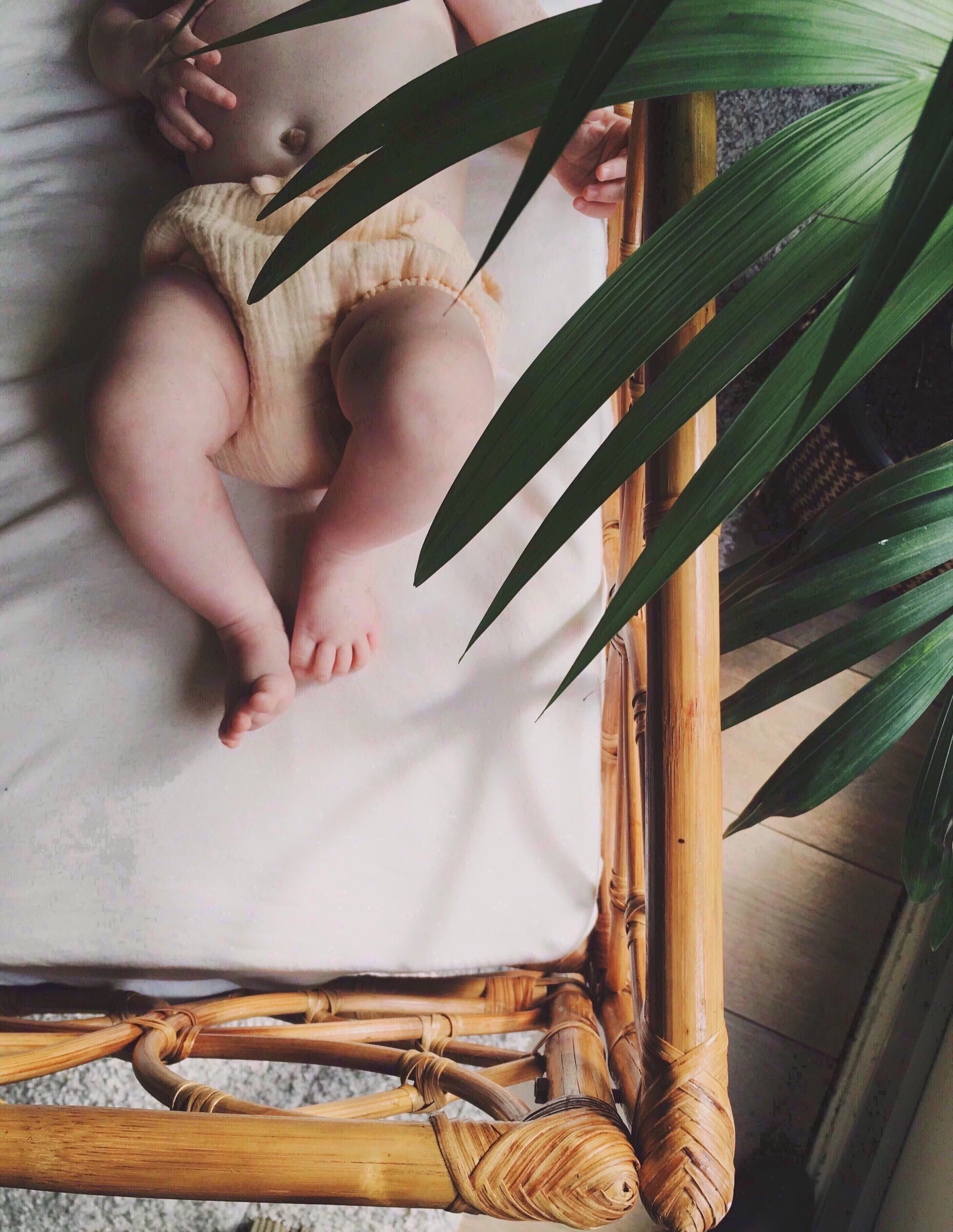 baby in botanique.JPG