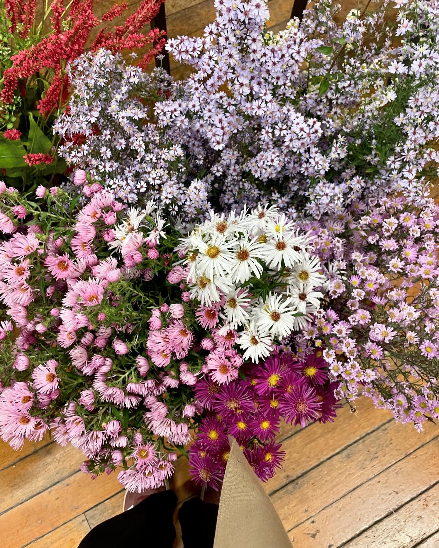 MOTHER&rsquo;S DAY 🩷 orders open for this week Monday - Saturday. Please spread them out as it&rsquo;s just me and I can only take so many orders per day. No Sunday delivery or pick up. Jack frost finished off my local growers flowers a few weeks ag