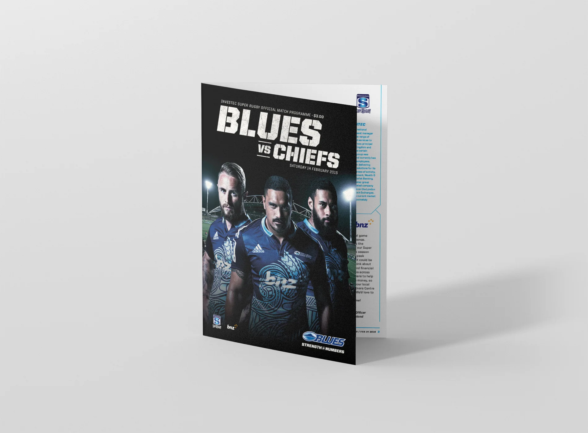 a5_bifold_brochure_mockup_front-Blues.jpg