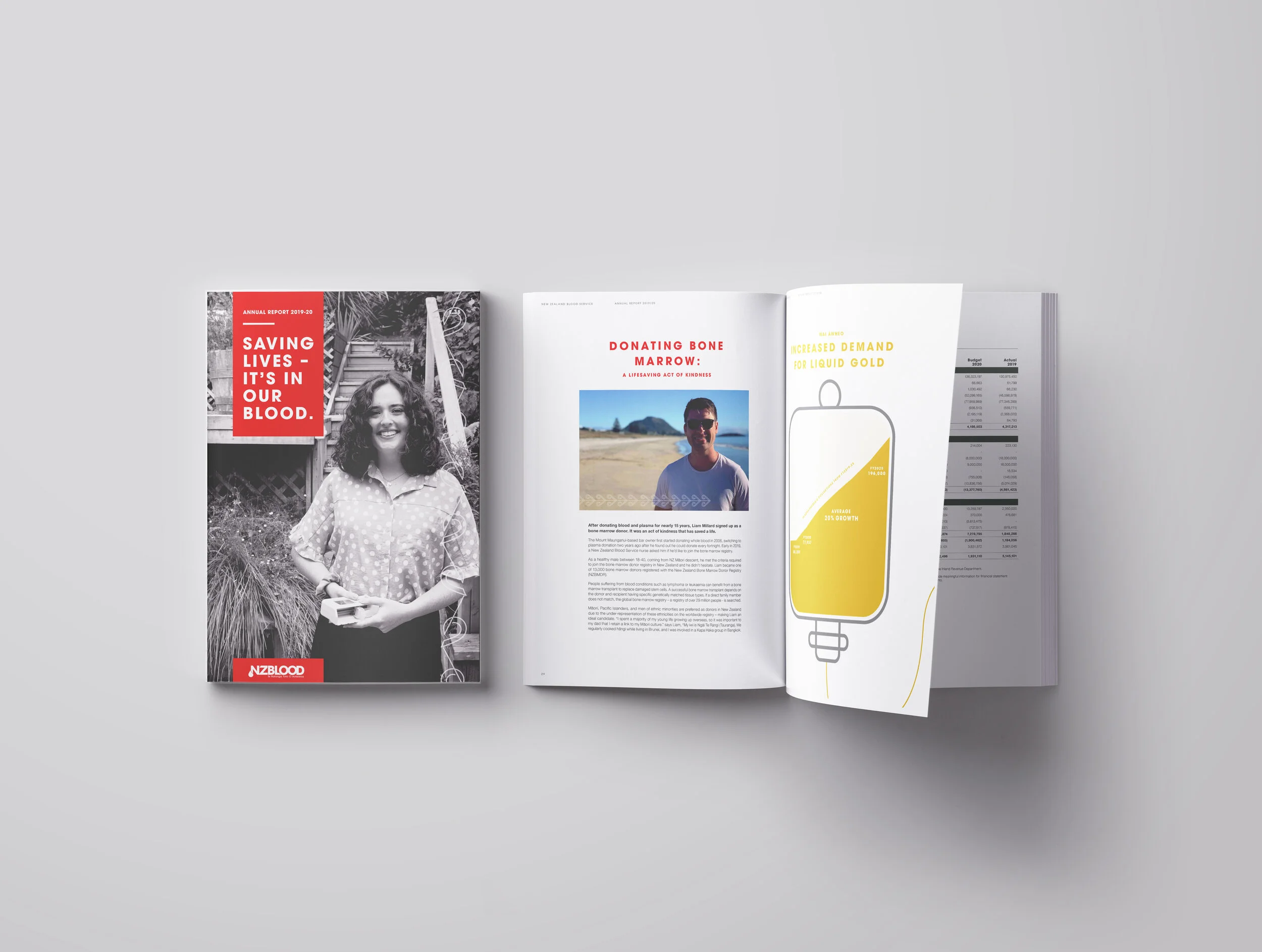 Magazine-Mockup-Presentation-NZB.jpg