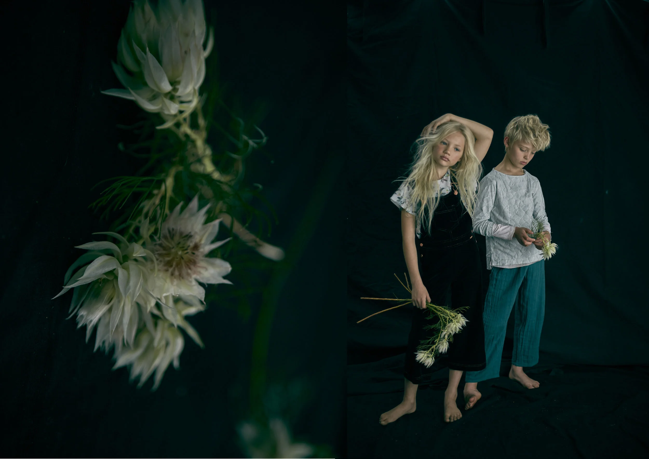 BOTANICAL.editorial.LAYOUT.HR.FINALfor-MILK.pg5.jpg