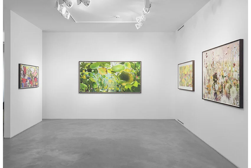 GPS_2019-May-08_Ruud van Empel, Floresta Negra1.jpg