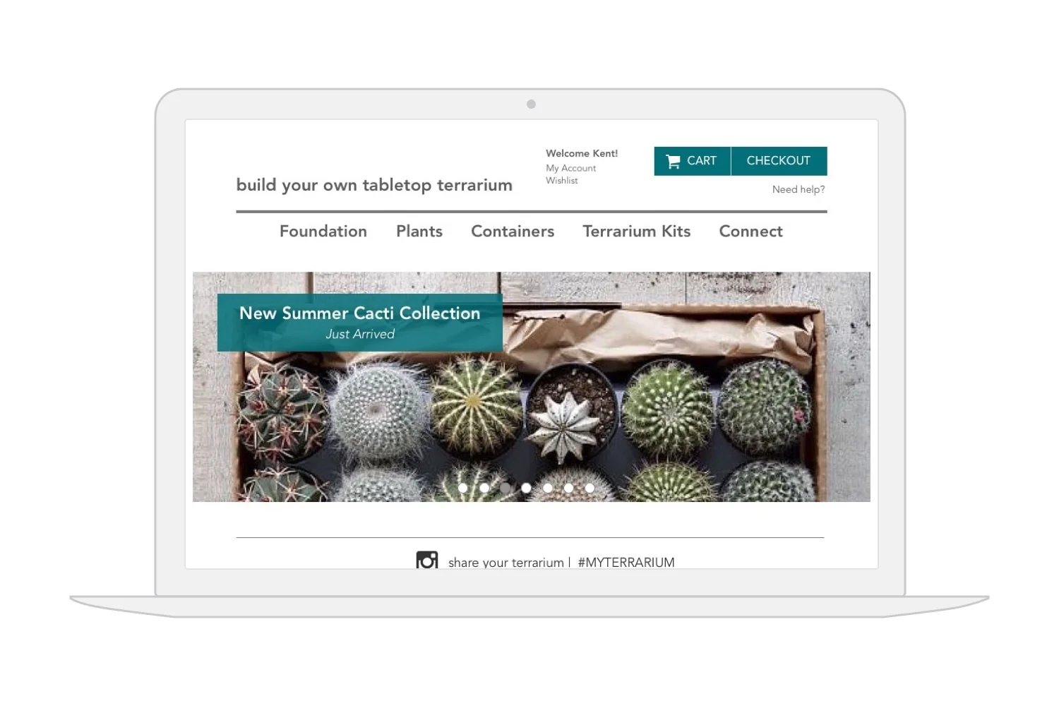 Introducing..... Built-Your-Own-Tabletop-Terrarium: a microsite!