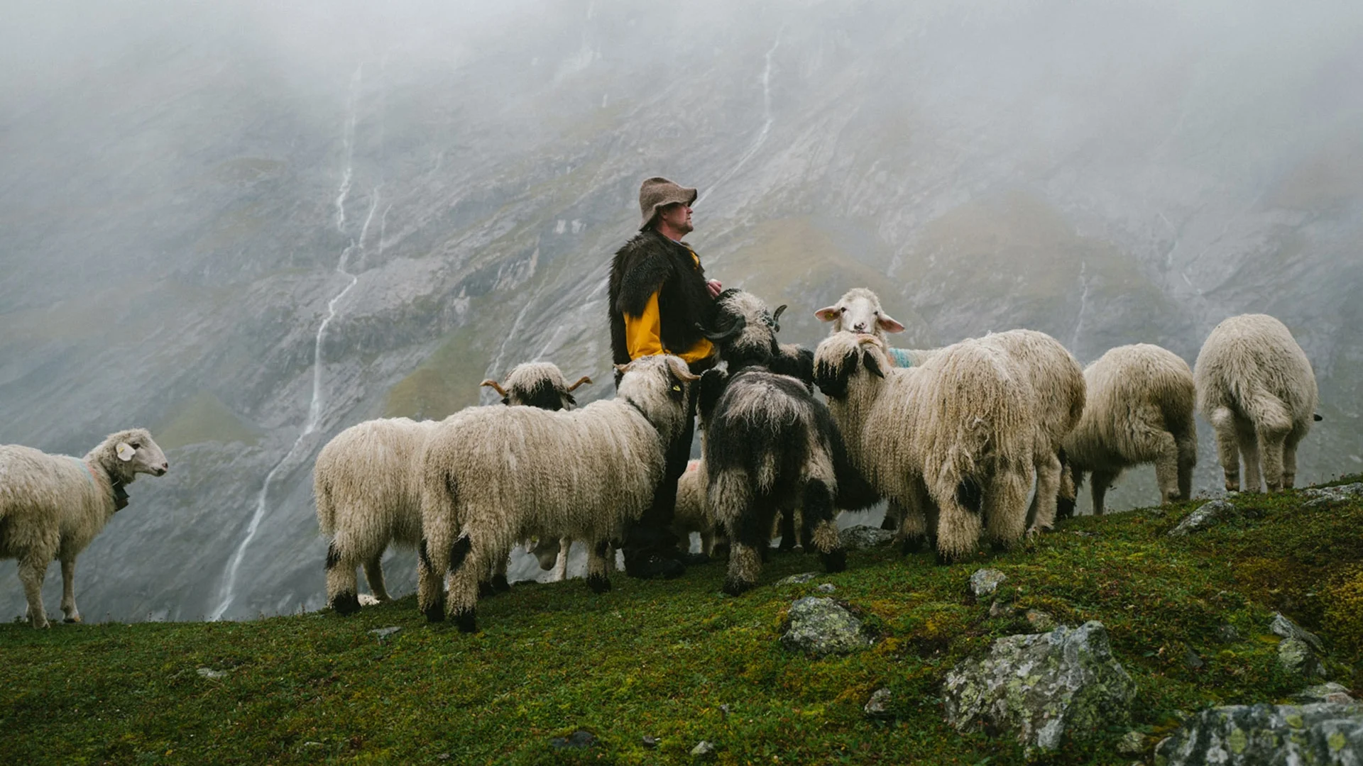 1-ORTOVOX-SWISSWOOL-Imagepicture--12-.jpg