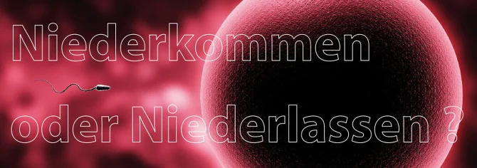 Medienberatung für BVDD