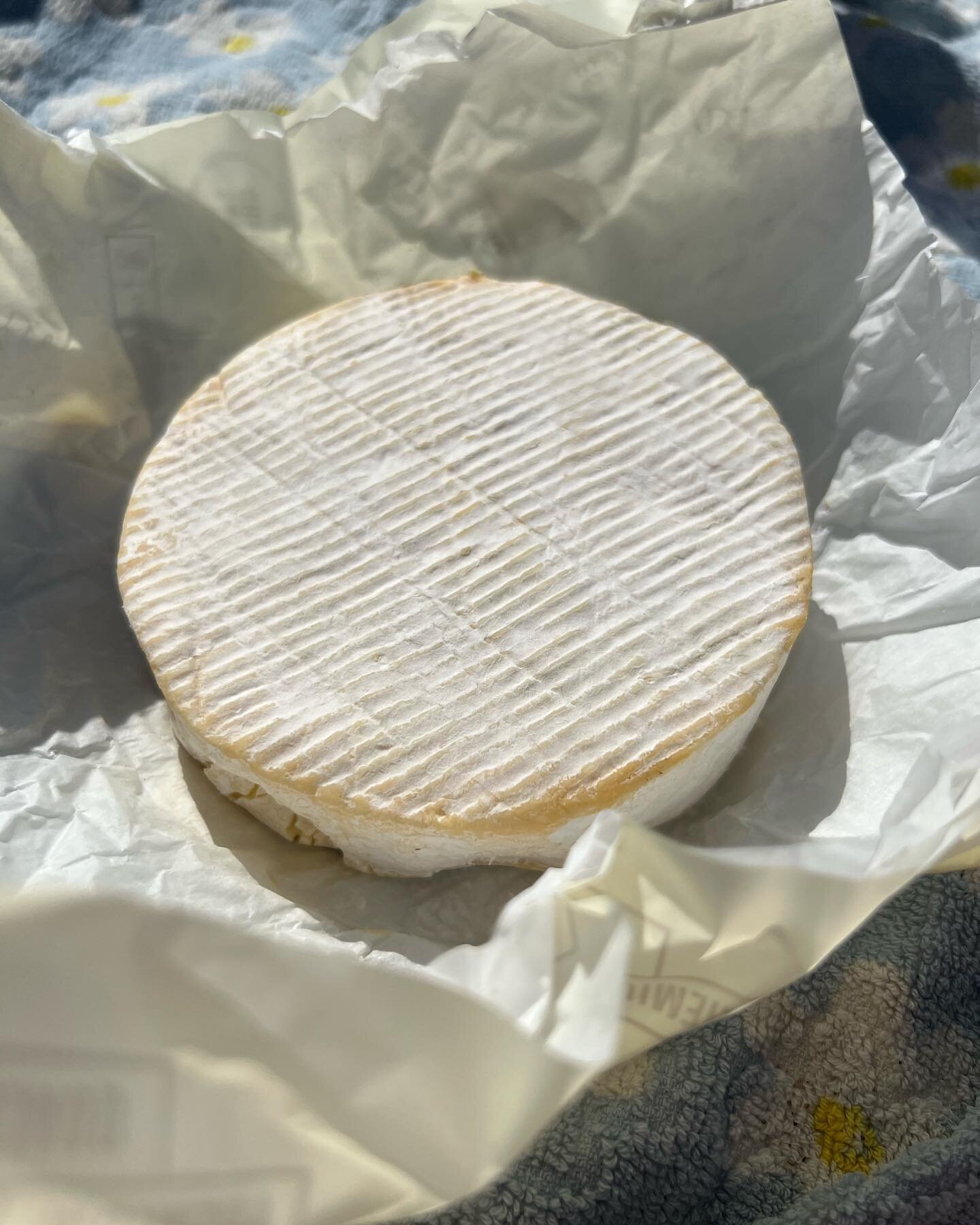 Rygge brie er h&aring;ndverk fra ysterene p&aring; Rygge Meieri, som  absolutt kan gj&oslash;re dagen til en h&oslash;ydare! Temperert av solen er den ogs&aring; helt nydelig🤩😎😋 

#godmat #brie #ryggebrie #beachlife #jel&oslash;y  #moss #rygge #ry