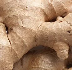 GINGER ROOT
