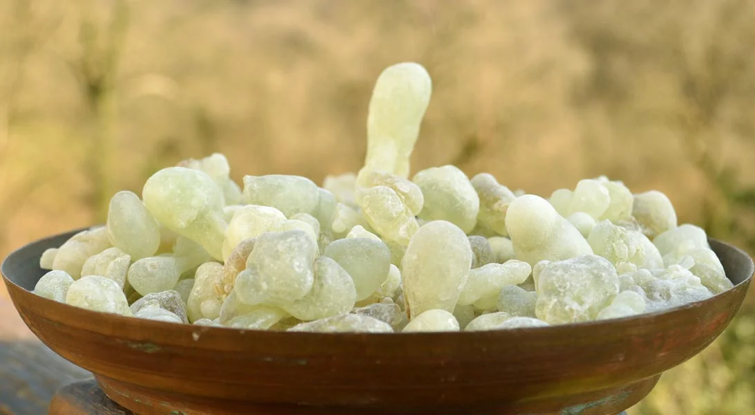 green-hojari-frankincense-zoom.jpg