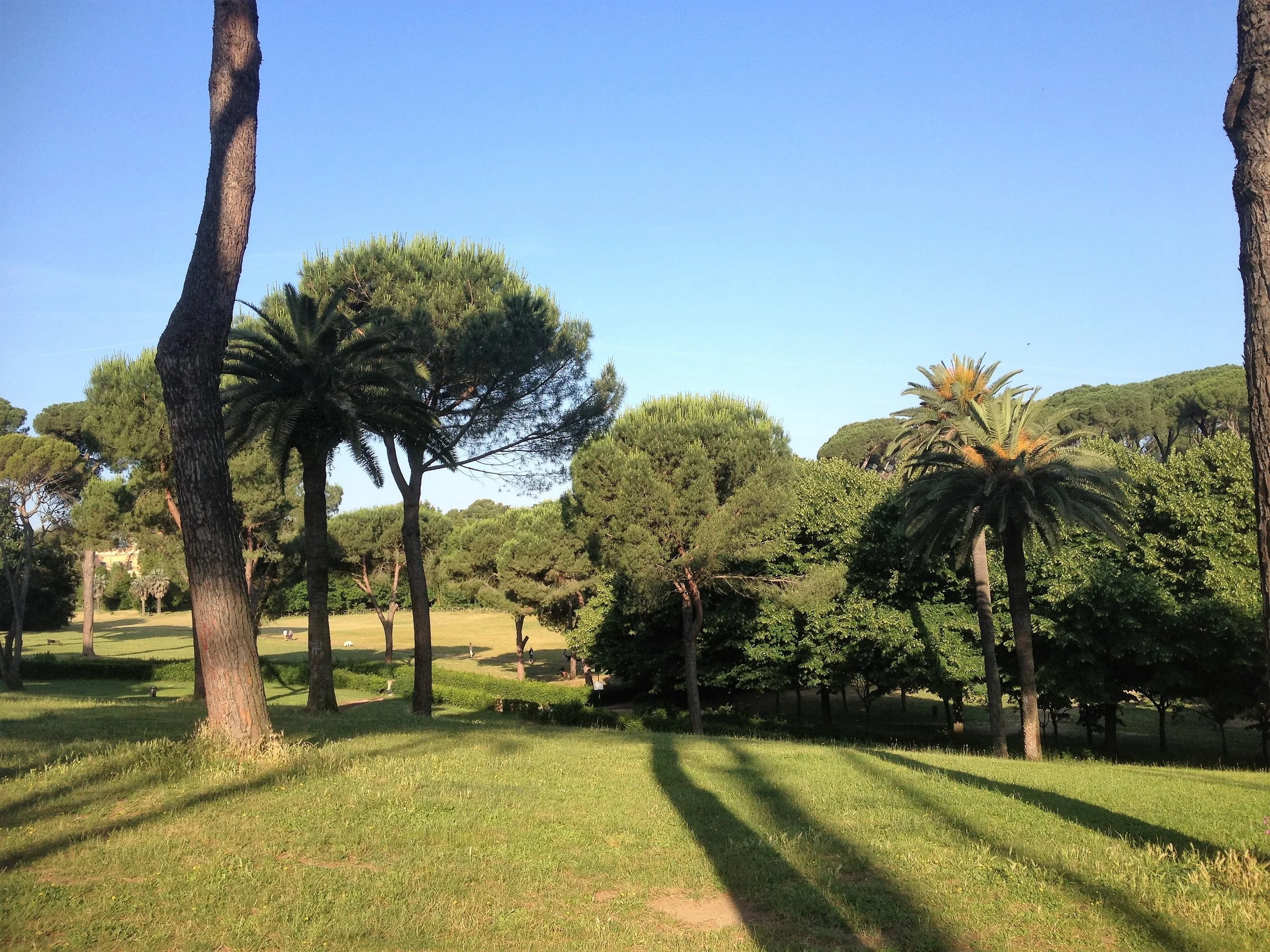 A WALK IN THE PARK