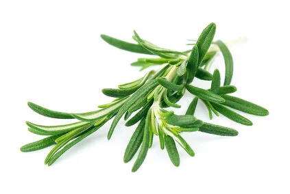 rosemary.jpg