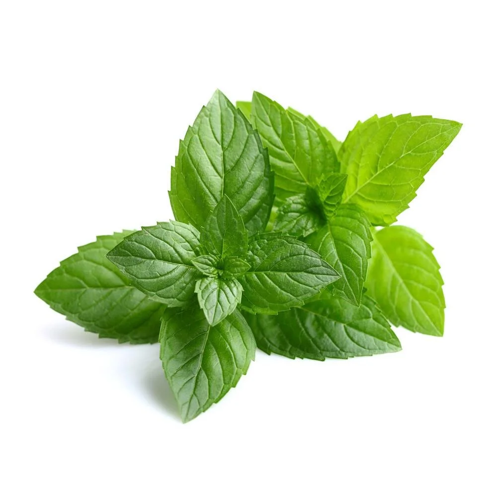 peppermint-leaf.jpg
