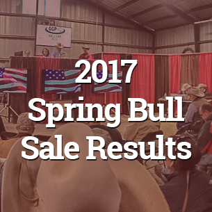 2017-spring-sale-results-button.jpg