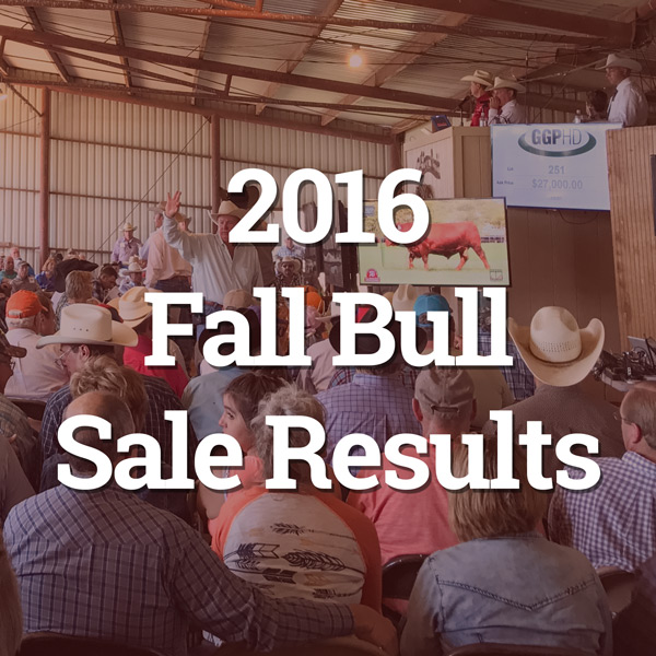 2016-fall-sale-results-button.jpg