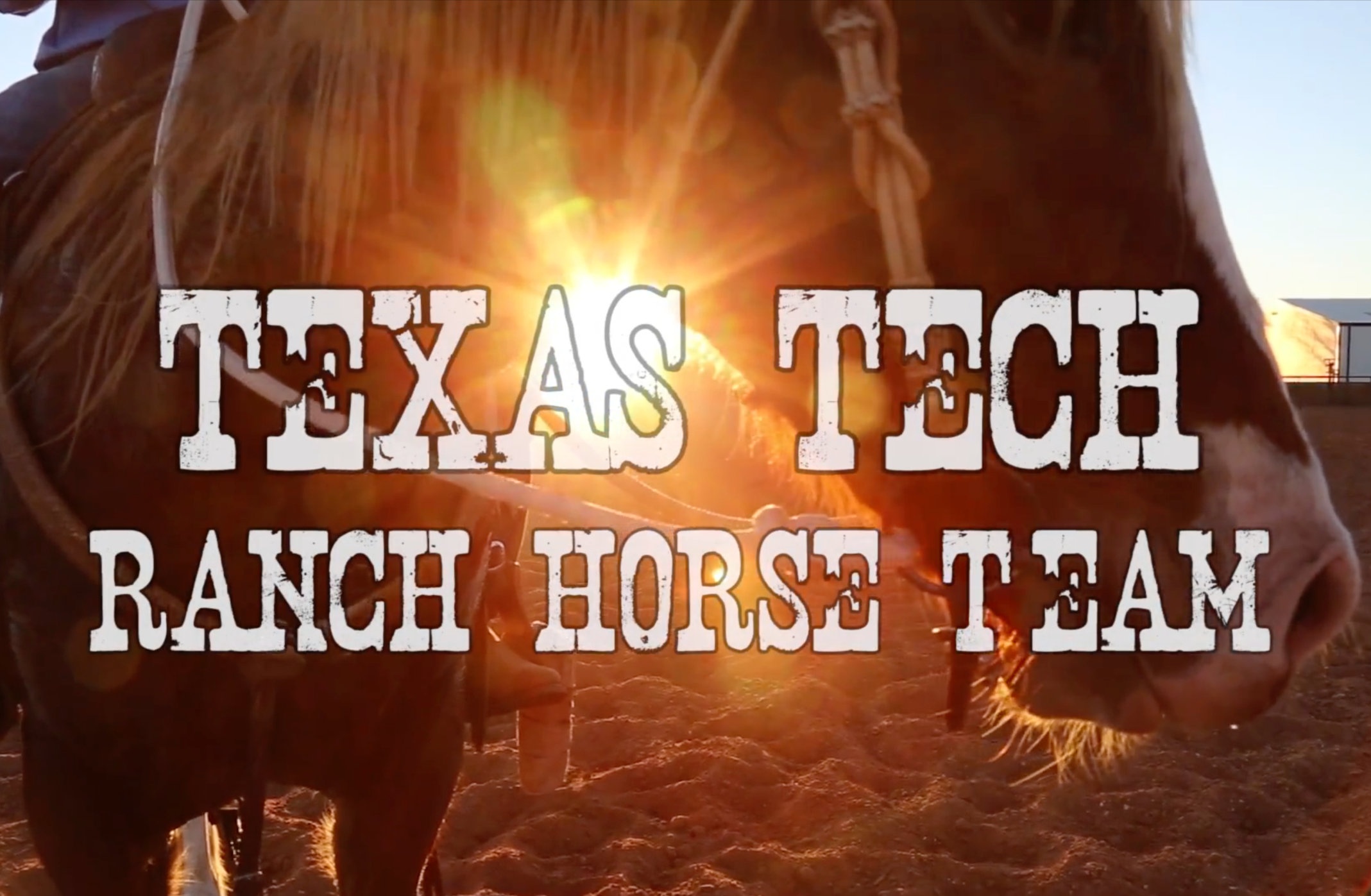 TEXAS TECH RANCH HORSE TEAM video.png