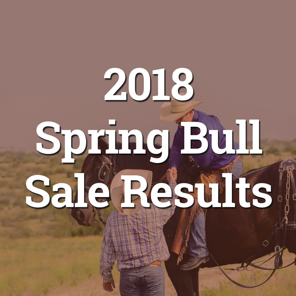 2018-spring-sale-results-button.jpg