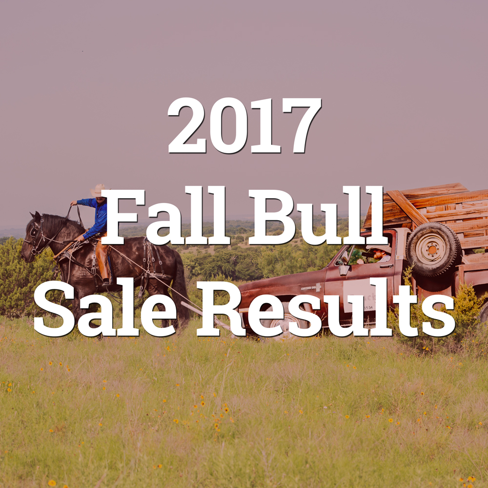 2017-fall-sale-results-button.jpg