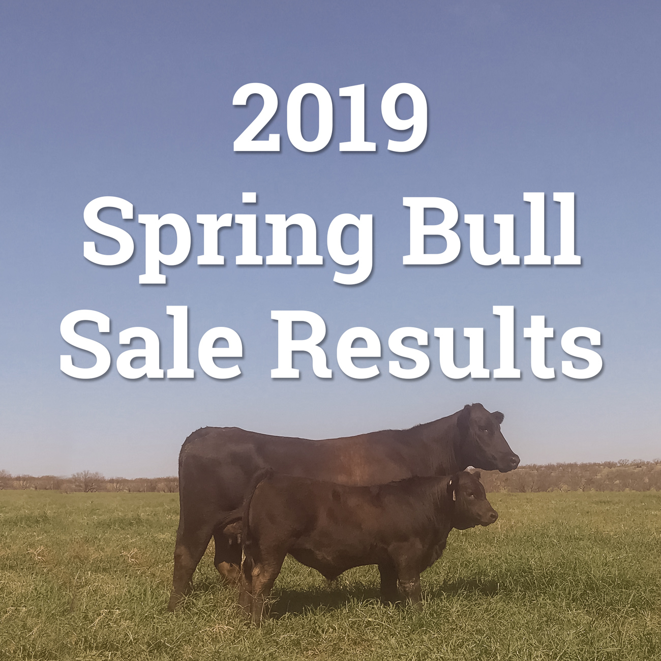 spring-2019-sale-results-button.jpg