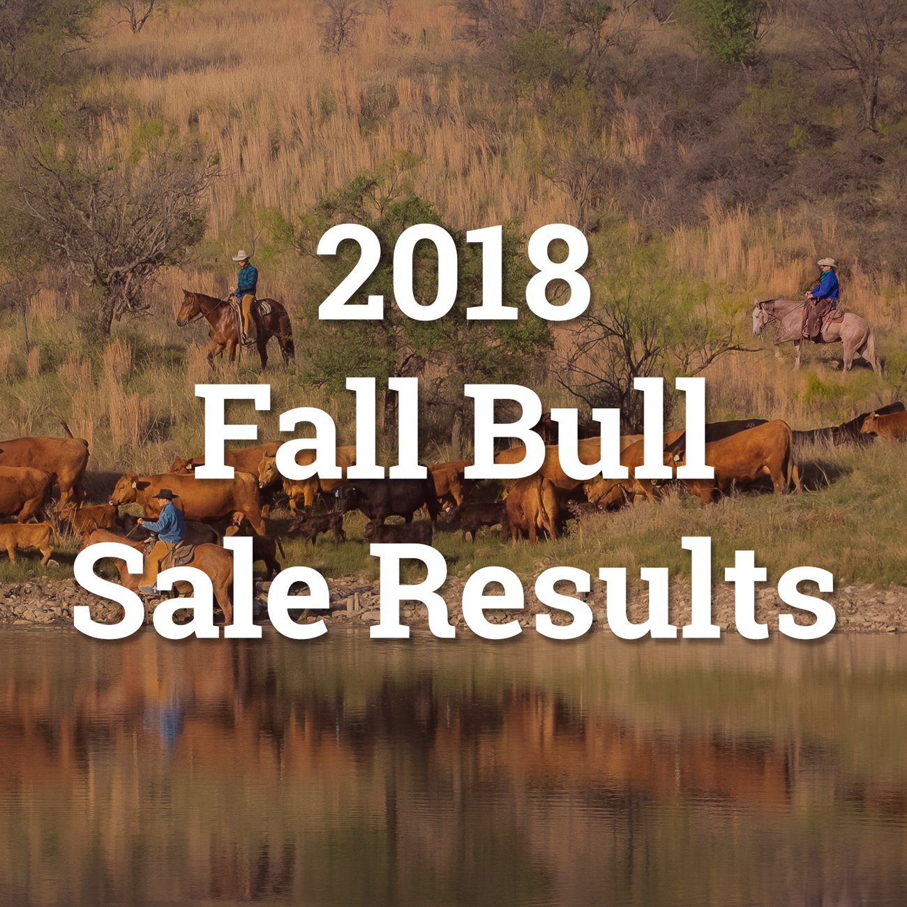 fall-2018-sale-results-button.jpg