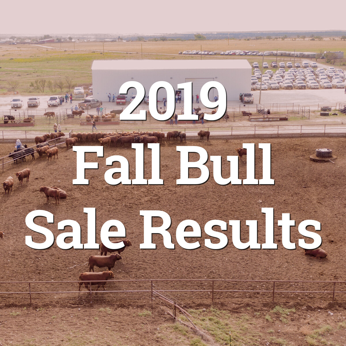 2019-fall-sale-results-button.jpg