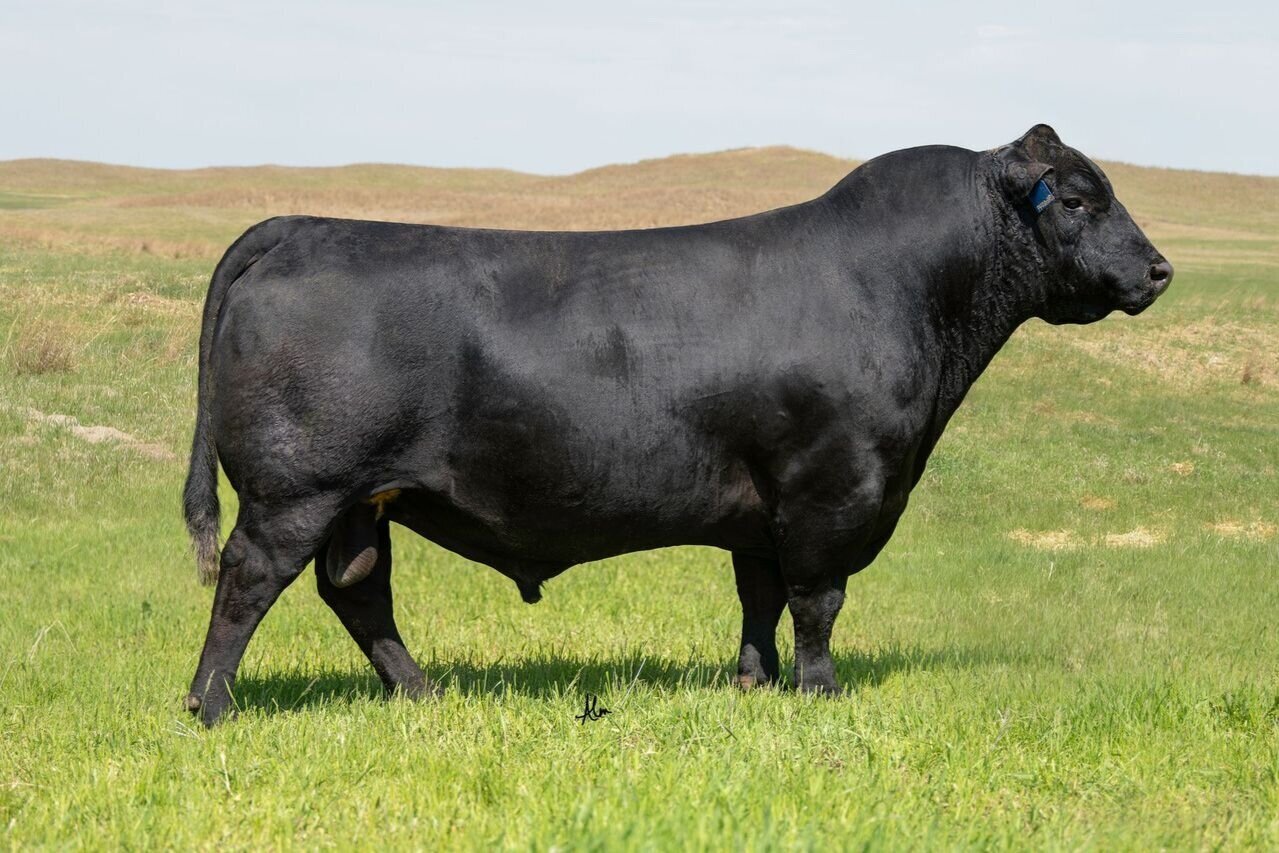 Woodhill Complete A130-C2