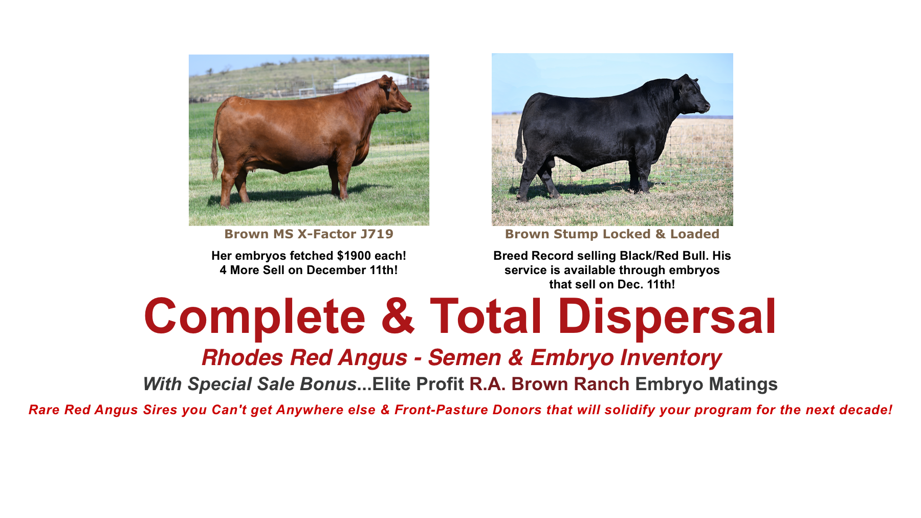 rhodes-genetics-sale-2.png