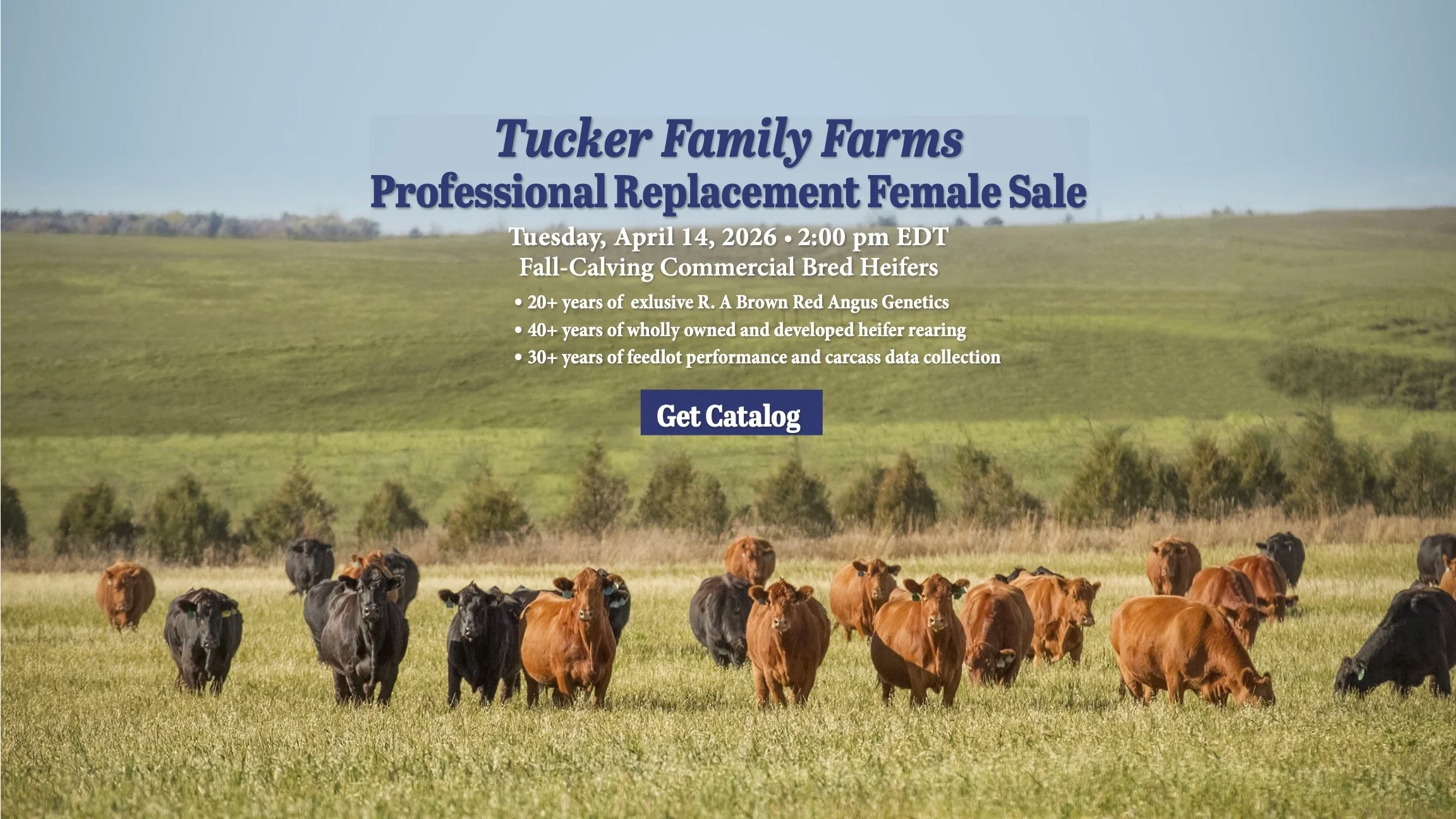 Tucker 2026 Slider.jpg