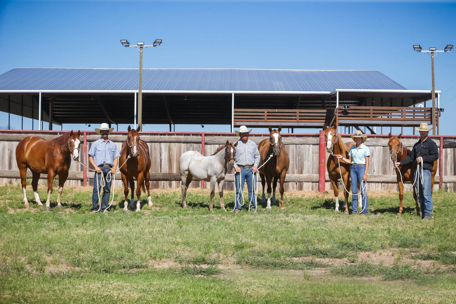 Featured Broodmares — R.A. Brown Ranch