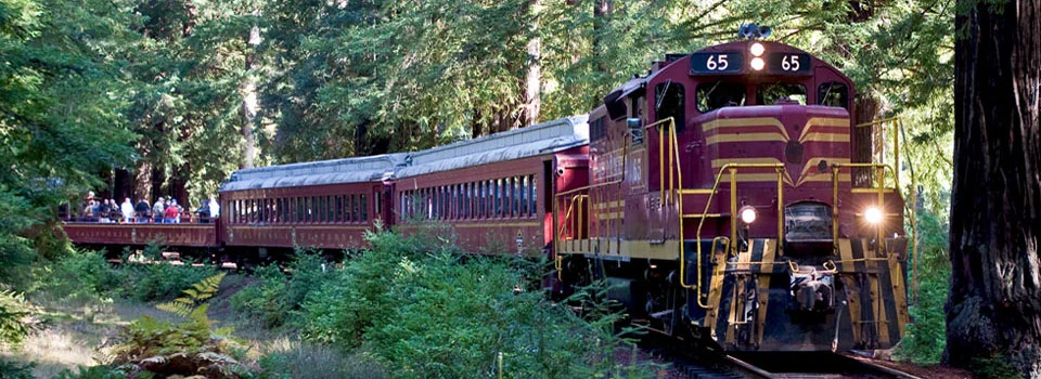 What I Learned Riding the Skunk Train