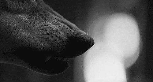 How to Write the Application Essay: 9 Ideas