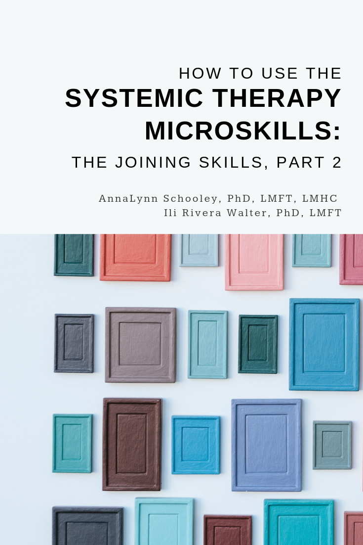 Systemic Therapy Microskills | Family Therapy Basics