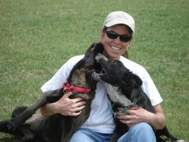 Meet your Placer County Democratic Central Committee….